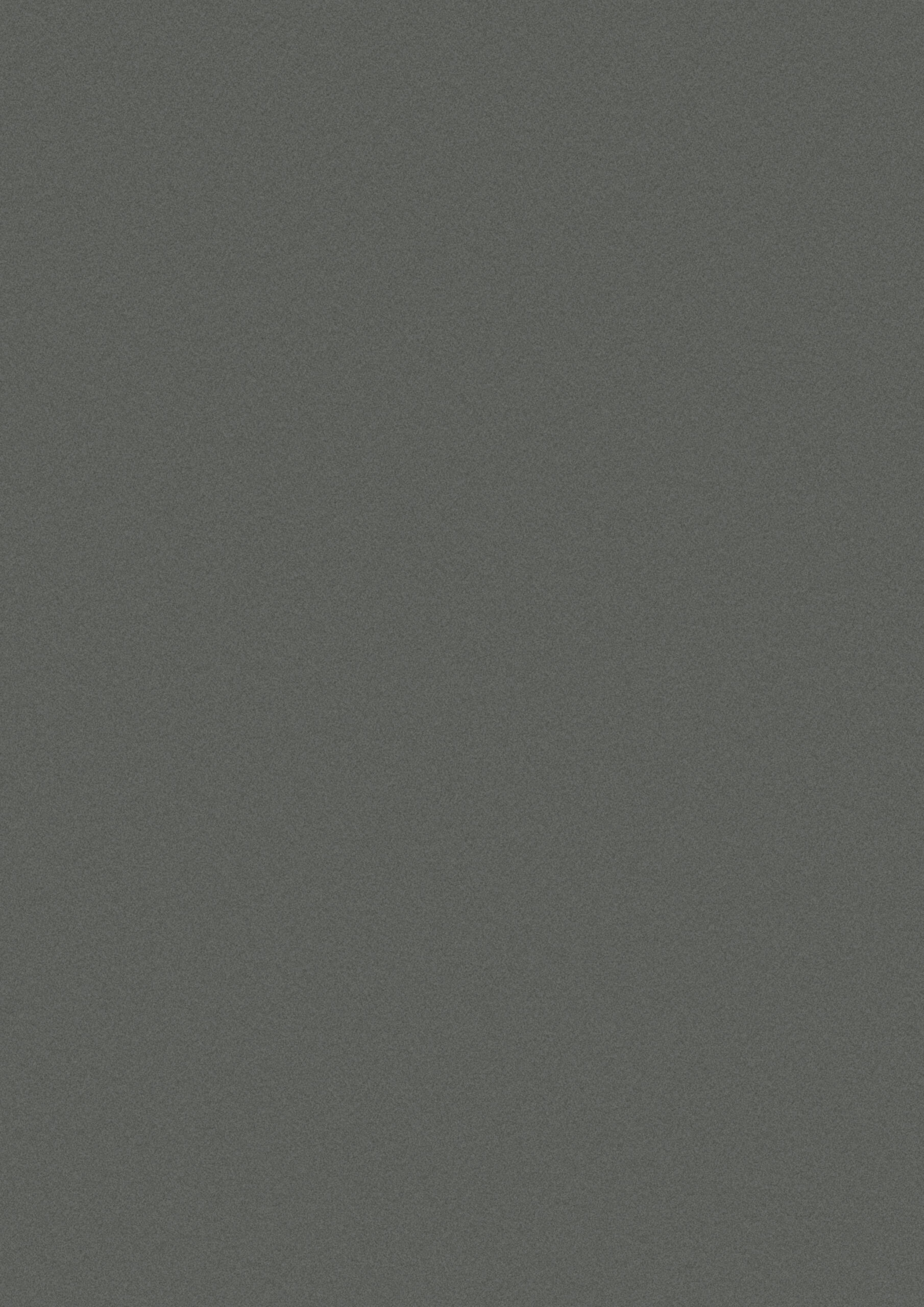 F4706048 Basalt Grey